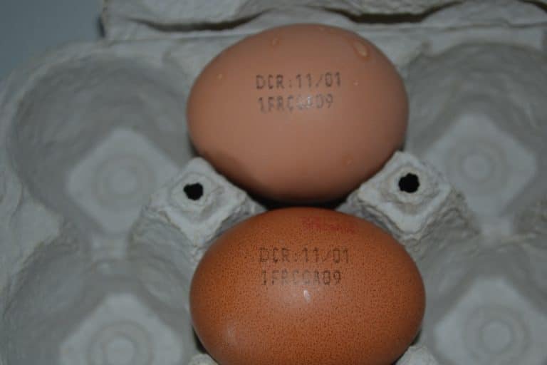 Système de marquage pour les œufs